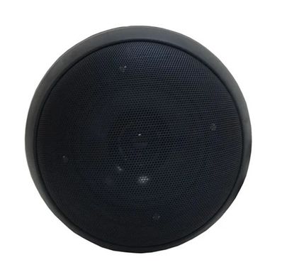 Стельовий динамік L-Frank Audio HSR305TB Ball 5", 10Вт, 100В, чорний
