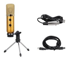 Конденсаторный микрофон EMS USB-7 золотого цвета