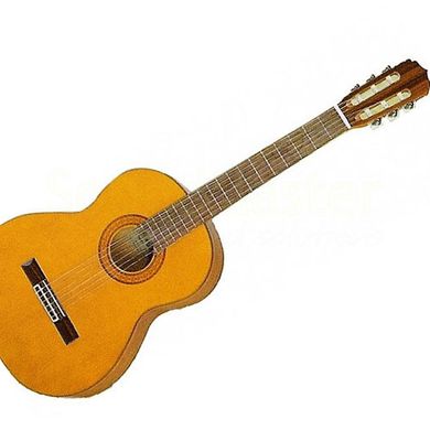 Классическая гитара Aria CGP 001