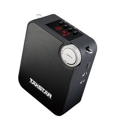 Портативный усилитель Takstar E500W-2H с ручными микрофонами