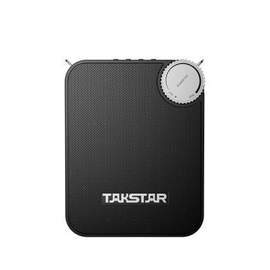 Портативный усилитель Takstar E500W-2H с ручными микрофонами