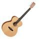 Акустична гітара Tanglewood TR3