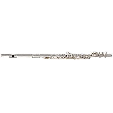 Флейта Maxtone TFC53N/1