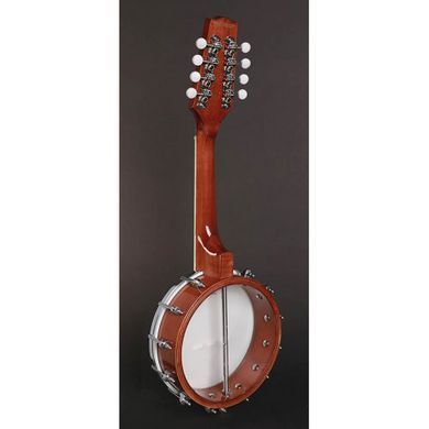 Банджо Richwood RMBM-408