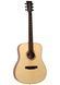 Акустична гітара Tanglewood TS5