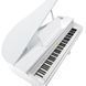 Цифрове піаніно Kurzweil KAG-100 WHP