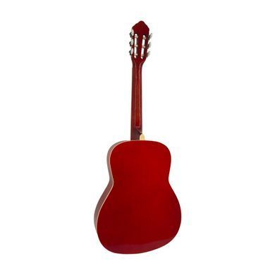 Акустична гітара Toneberg EC3800-RD