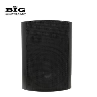 Настінна акустика BIG MSB504-8Ohm/100V BLACK 80W