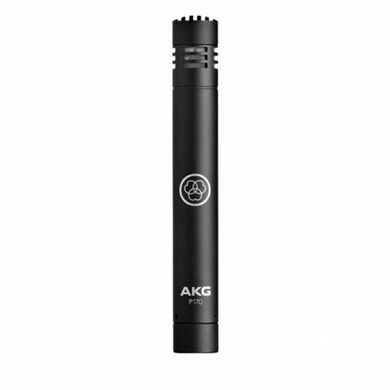 Инструментальный микрофон AKG P170