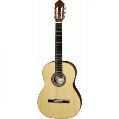 Гитара классическая HORA SM-30