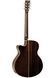 Електроакустична гітара Tanglewood TW4 CE AVB