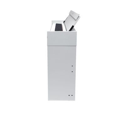 Цифровое пианино Toneberg TDP-110 WH