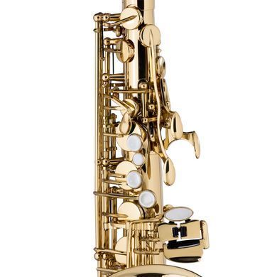 Саксофон STAGG P WS-AS215S