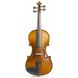 Скрипка STENTOR 1542/A GRADUATE VIOLIN OUTFIT 4/4