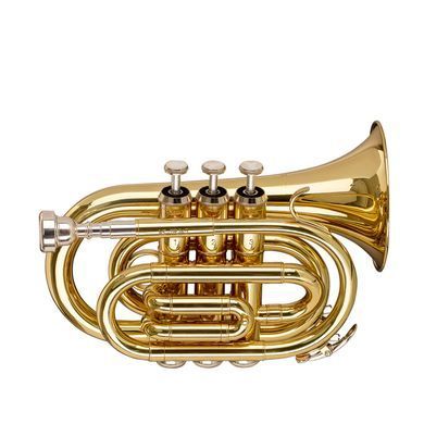 Труба STAGG P WS-TR245S