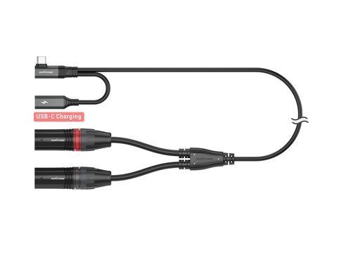 Двохканальний балансний аудіокабель Roxtone RA3B-TC2XM USB-C - 2*XLR тато