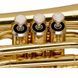 Труба STAGG P WS-TR245S
