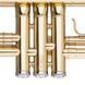 Труба STAGG P WS-TR115