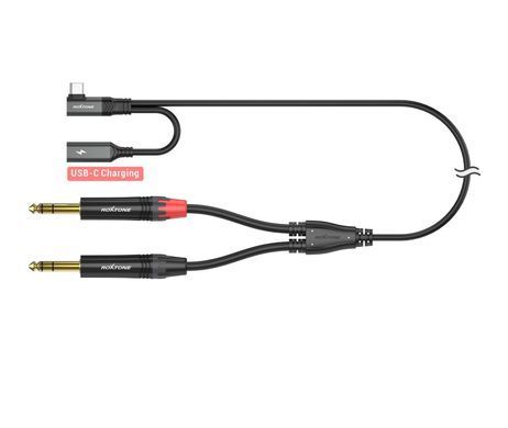 Двоканальний симетричний аудіокабель Roxtone RA3B-TC2JS USB-C - 2*6.35mm stereo