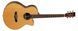 Электроакустическая гитара Tanglewood TJ4CE