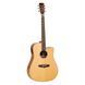 Электроакустическая гитара Tanglewood TJ5CE