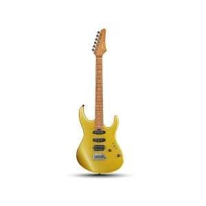 Електрогітара (комплект) Donner Music DST-700 HSS Gold EC6817