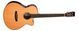 Електроакустична гітара Tanglewood TRS4 CE