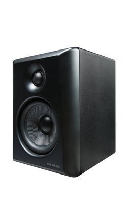 Фото товара Монитор Kurzweil KS-50A