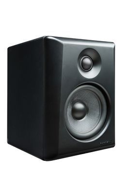 Фото товара Монитор Kurzweil KS-50A