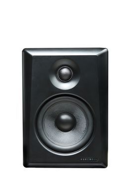 Фото товара Монитор Kurzweil KS-50A