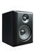 Дополнительное фото товара Монитор Kurzweil KS-50A