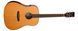 Электроакустическая гитара Tanglewood TRS5 SE
