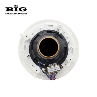 Потолочный динамик BIG CS6501