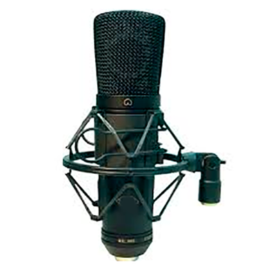 Конденсаторный микрофон ESY910 BIG Condenser Mic