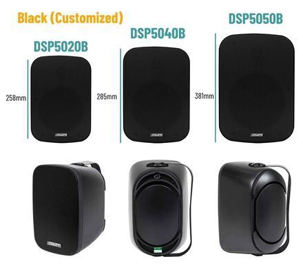 Настінна акустика DSP5020B IP66, 20Вт, чорна