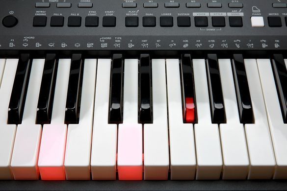 Синтезатор с автоаккомпанементом Kurzweil KP90L