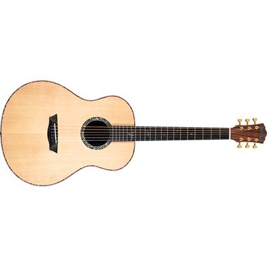 Акустическая гитара Washburn ELEGANTE S24S
